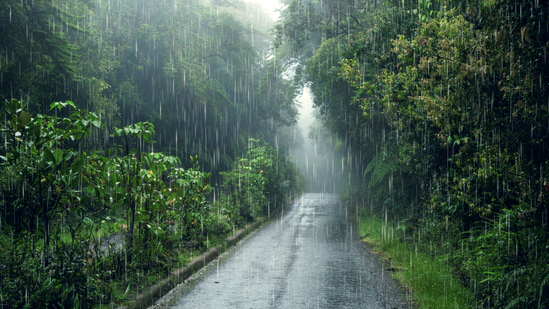 Dark rain clouds